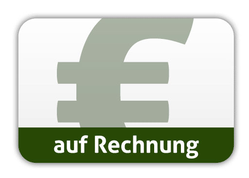 Erfolg – ​​Verkauf von HYLA-Produkten – Symbol mit einem großen Euro-Währungssymbol und dem deutschen Text „auf Rechnung“, was „auf Rechnung“ oder „Zahlung auf Rechnung“ bedeutet.